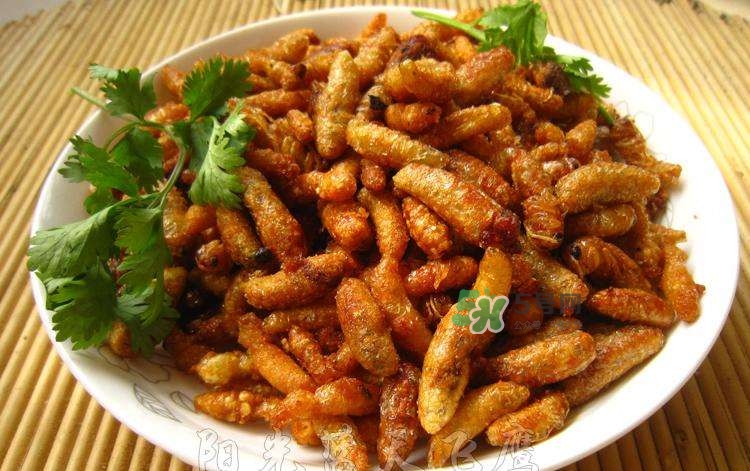 蜂蛹可以生吃嗎？蜂蛹的營養(yǎng)價(jià)值