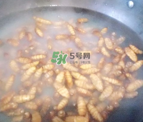 蜂蛹怎么保存？蜂蛹怎么做好吃？