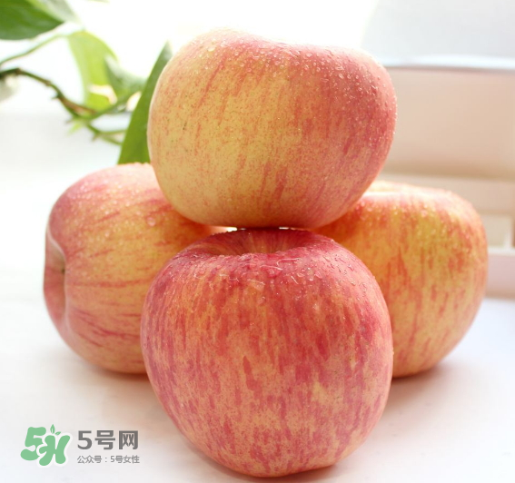 蘋(píng)果種類(lèi)有哪些？蘋(píng)果種類(lèi)哪種最好