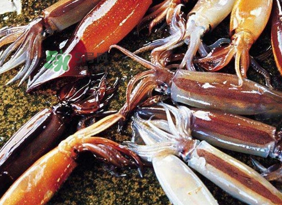 魷魚是堿性食物嗎？魷魚是酸性還是堿性？