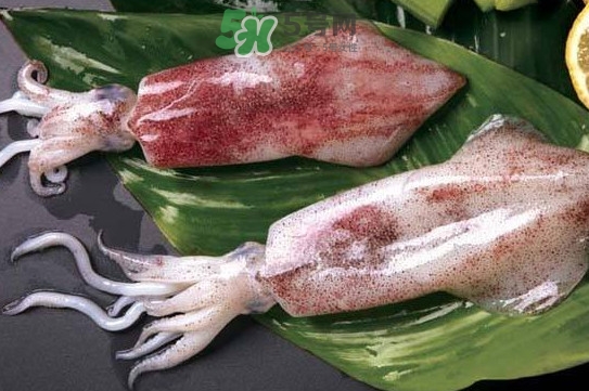 新鮮魷魚怎么處理？魷魚怎么清洗？