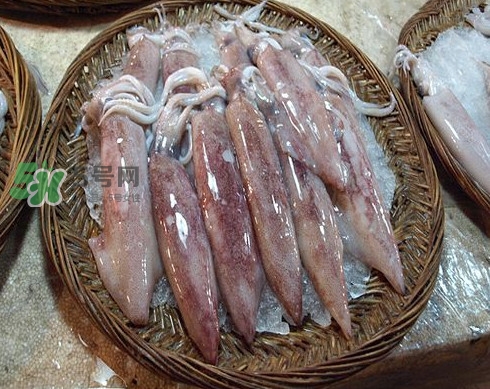 新鮮魷魚(yú)怎么保存？魷魚(yú)可以冷凍嗎