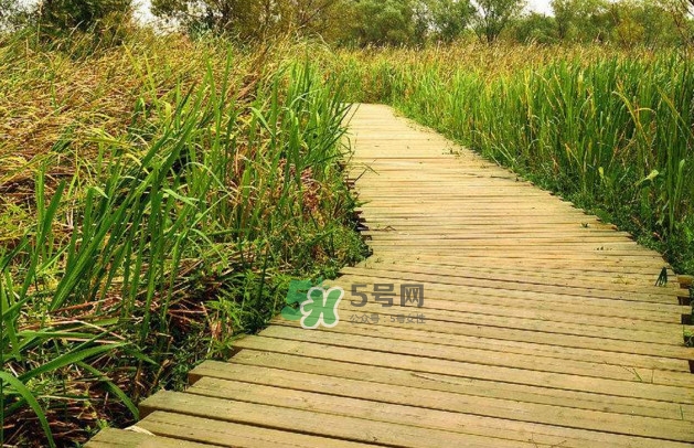 心碎綜合癥是抑郁癥嗎？心碎綜合癥怎么治療