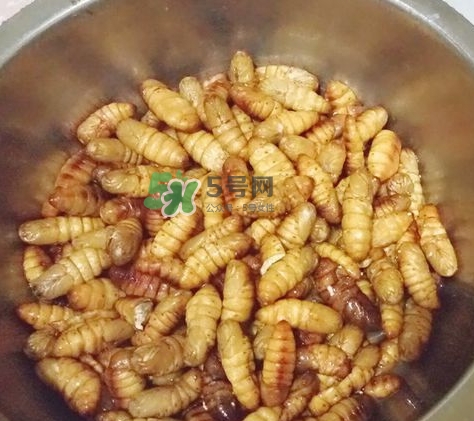 蜂蛹怎么保存？蜂蛹怎么做好吃？