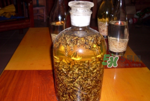 蜂蛹和枸杞能一起泡酒嗎？蜂蛹和枸杞泡酒的功效