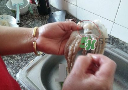 魷魚是堿性食物嗎？魷魚是酸性還是堿性？