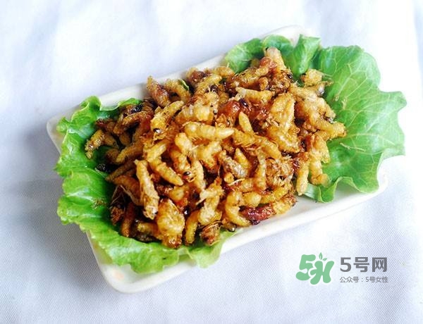 蜂蛹怎么保存？蜂蛹怎么做好吃？