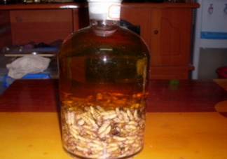 蜂蛹和枸杞能一起泡酒嗎？蜂蛹和枸杞泡酒的功效