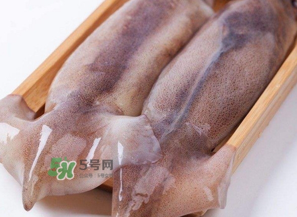 新鮮魷魚(yú)怎么保存？魷魚(yú)可以冷凍嗎