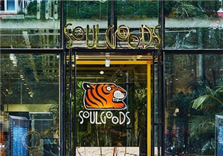 soulgoods是什么牌子？soulgoods貴嗎？