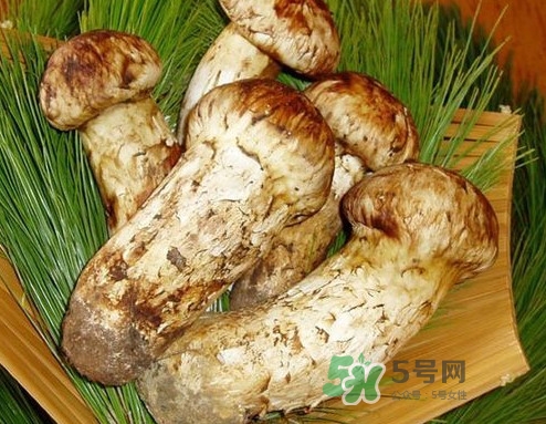 新鮮松茸怎么清洗？新鮮松茸怎么處理
