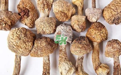 干松茸要泡多久？干松茸用冷水泡還是溫水泡好