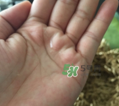 菌菇水是哪個國家的？悅木之源菌菇水是日本的嗎