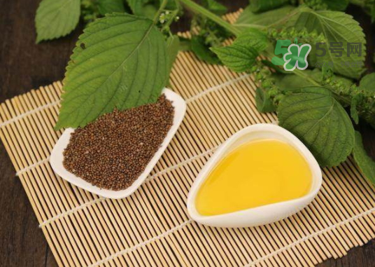 紫蘇水可以天天用嗎？紫蘇水的功效與作用