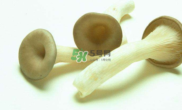 蘑菇不能和茄子一起吃嗎？蘑菇不能和什么一起吃？
