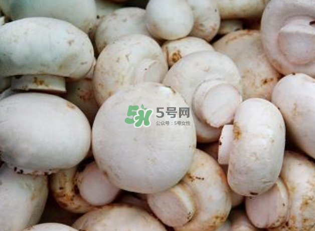 蘑菇變黑了還能吃嗎？蘑菇怎么保存？