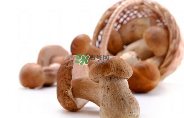 蘑菇能放冰箱嗎？蘑菇能放冰箱多長時間？