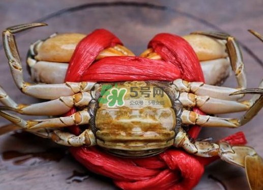 黃油蟹什么季節(jié)吃最好？黃油蟹產(chǎn)地