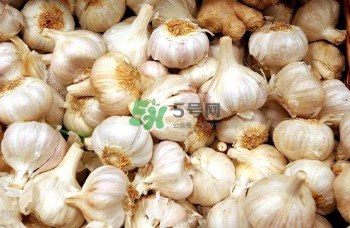 壽光大蒜有毒嗎？壽光毒大蔥事件