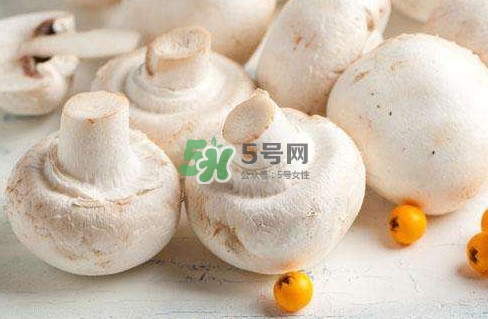 新鮮白蘑菇怎么做好吃？白蘑菇有什么好處
