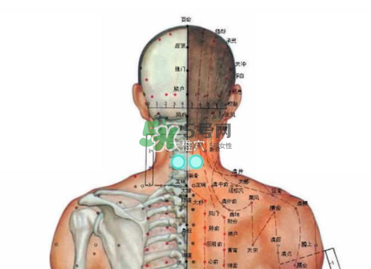 碧緹福護(hù)頸儀多少錢？碧緹福護(hù)頸儀價(jià)格