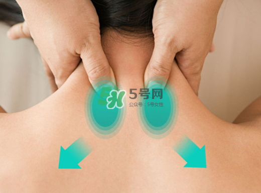 碧緹福護(hù)頸儀多少錢？碧緹福護(hù)頸儀價(jià)格
