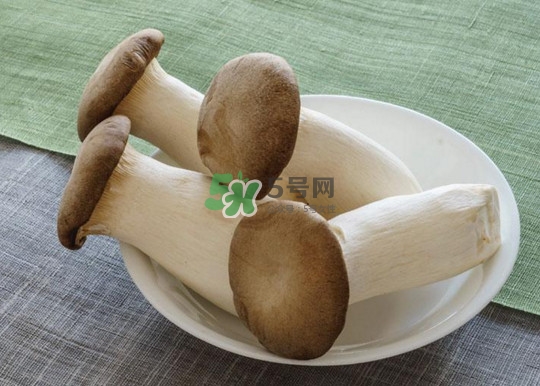 杏鮑菇怎么清洗？杏鮑菇怎么保存