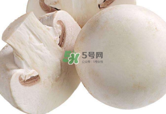 新鮮白蘑菇怎么做好吃？白蘑菇有什么好處
