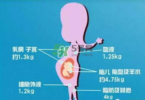 孕期體重增長標準 孕期體重增長過快怎么辦？