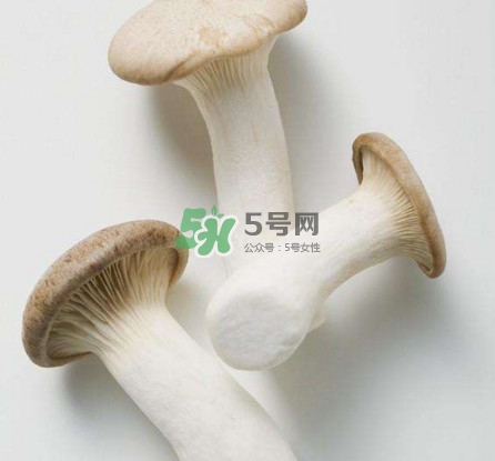 杏鮑菇用水焯嗎？杏鮑菇怎么做好吃