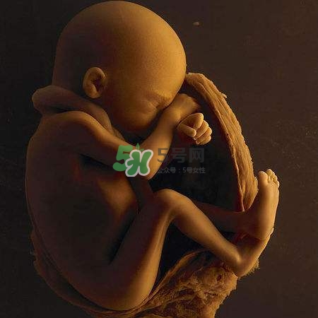 臍帶繞頸是什么意思？臍帶繞頸兩周怎么糾正？