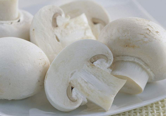 白蘑菇是什么蘑菇？白蘑菇有毒嗎