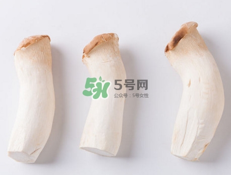 杏鮑菇有苦味還能吃嗎？杏鮑菇有酒味是壞了嗎