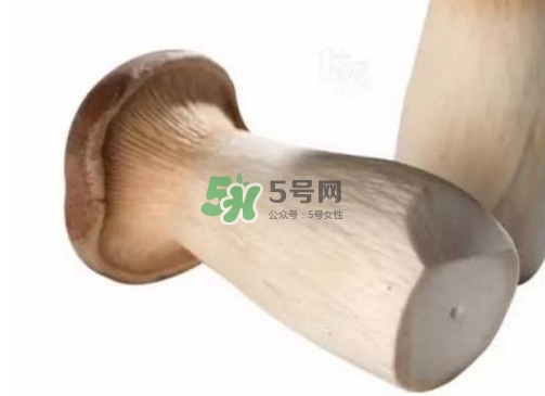 杏鮑菇有苦味還能吃嗎？杏鮑菇有酒味是壞了嗎