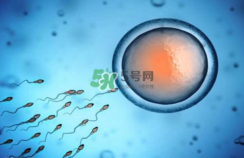 精子在女性體內(nèi)可以存活多久？男性的精子會枯竭嗎？