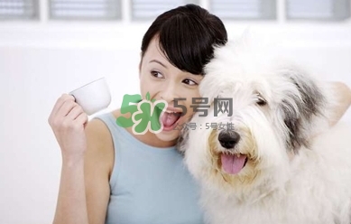 孕婦能養(yǎng)狗嗎？孕婦養(yǎng)狗注意事項