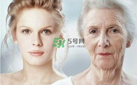 抗氧化是抗衰老嗎？抗氧化是不是就等于抗衰老？