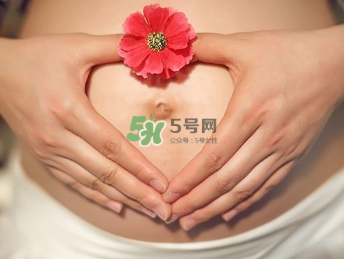 秋天孕婦可以吃絲瓜嗎？秋天孕婦吃絲瓜好嗎？