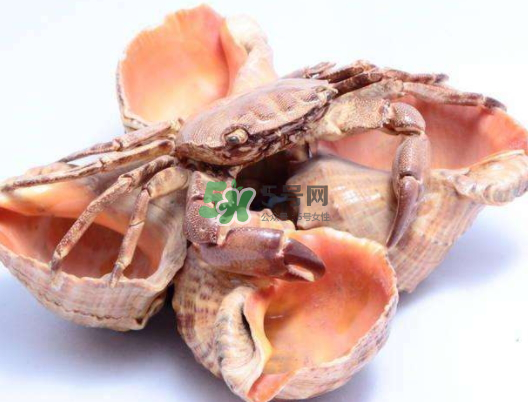 螃蟹殼里的東西是什么？螃蟹殼里什么不能吃？