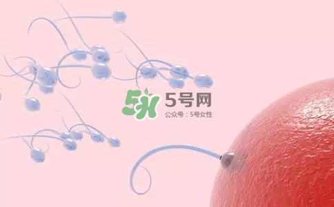 精子在女性體內(nèi)可以存活多久？男性的精子會枯竭嗎？