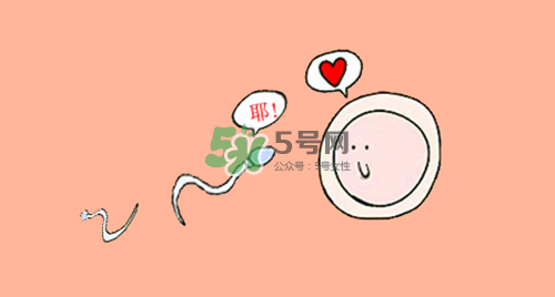 精子在女性體內(nèi)可以存活多久？男性的精子會枯竭嗎？
