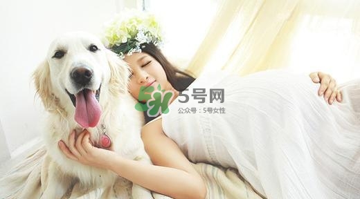 孕婦不能養(yǎng)寵物嗎？為什么孕婦不能養(yǎng)寵物？