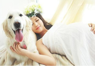 孕婦不能養(yǎng)寵物嗎？為什么孕婦不能養(yǎng)寵物？