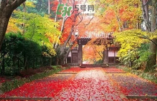 白露是寒露嗎？白露和寒露的區(qū)別