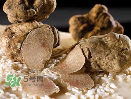 松露為什么那么貴？松露為什么這么貴？