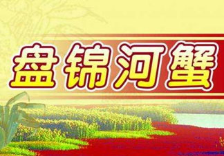 盤錦河蟹批發(fā)市場在哪？盤錦河蟹哪里最正宗？