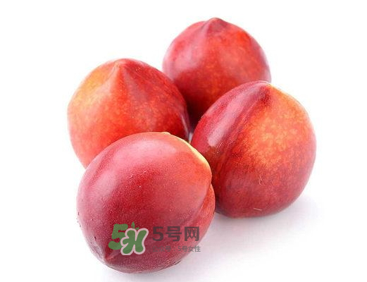 九月份還有桃子嗎？9月份成熟的桃子有幾種？