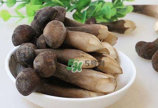 雞樅菌和松茸哪個(gè)更好？雞樅菌有什么營(yíng)養(yǎng)