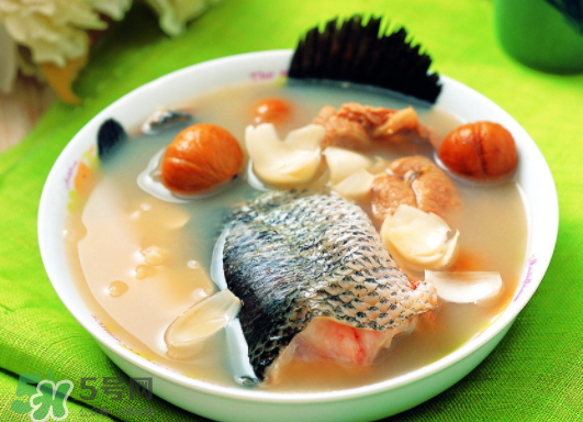 黑魚能愈合傷口嗎？黑魚為什么對傷口愈合？