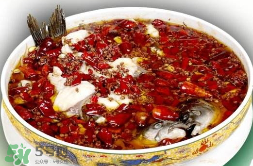 鯉魚(yú)可以做水煮魚(yú)嗎？水煮鯉魚(yú)的做法